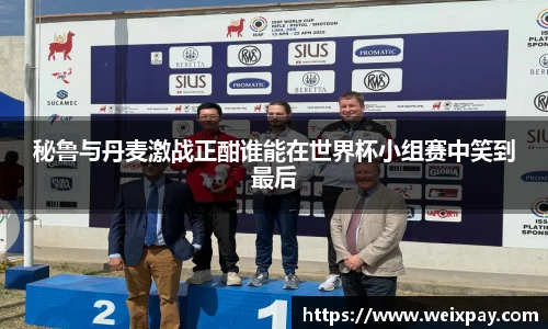 秘鲁与丹麦激战正酣谁能在世界杯小组赛中笑到最后