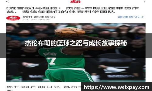 芒果体育官网